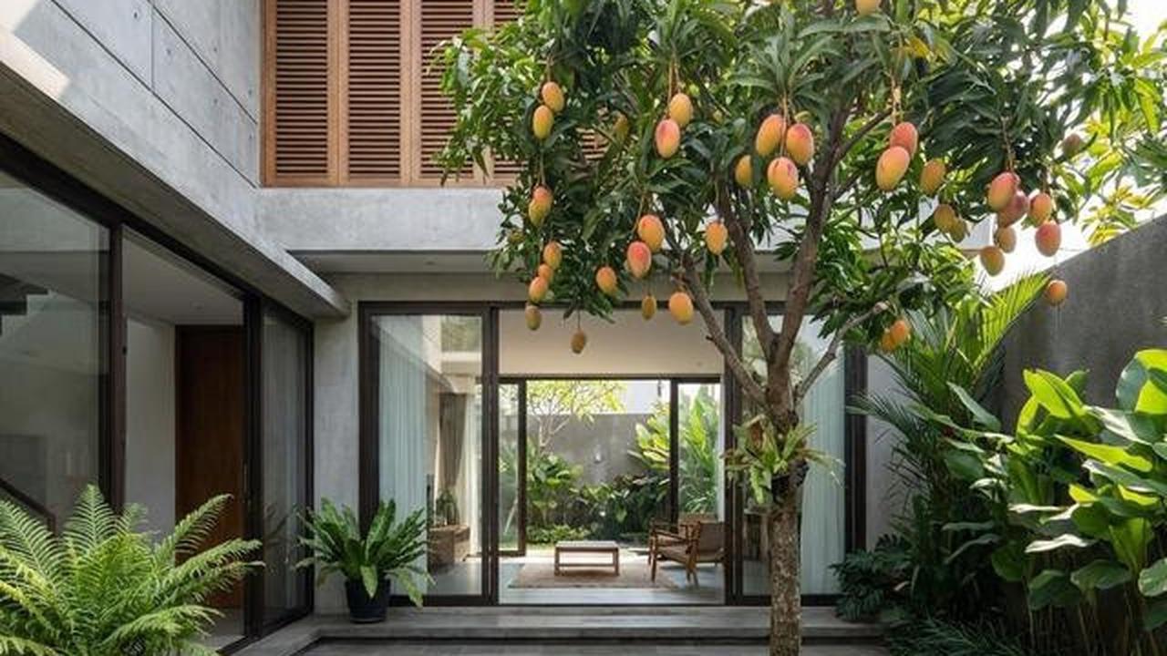 Buah Apa yang Cocok Ditanam di Halaman Belakang? Berikut 10 Tanaman Favorit Keluarga