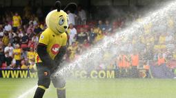 1. Maskot dari Watford bermain air sesaat jelang laga Premier League melawan Arsenal di Stadion Vicarage Road, Watford, Inggris, Sabtu (27/8/2016). (Reuters/Andrew Boyers)