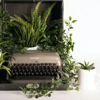 Ilustrasi tanaman hias (Photo by Shelby Miller on Unsplash)