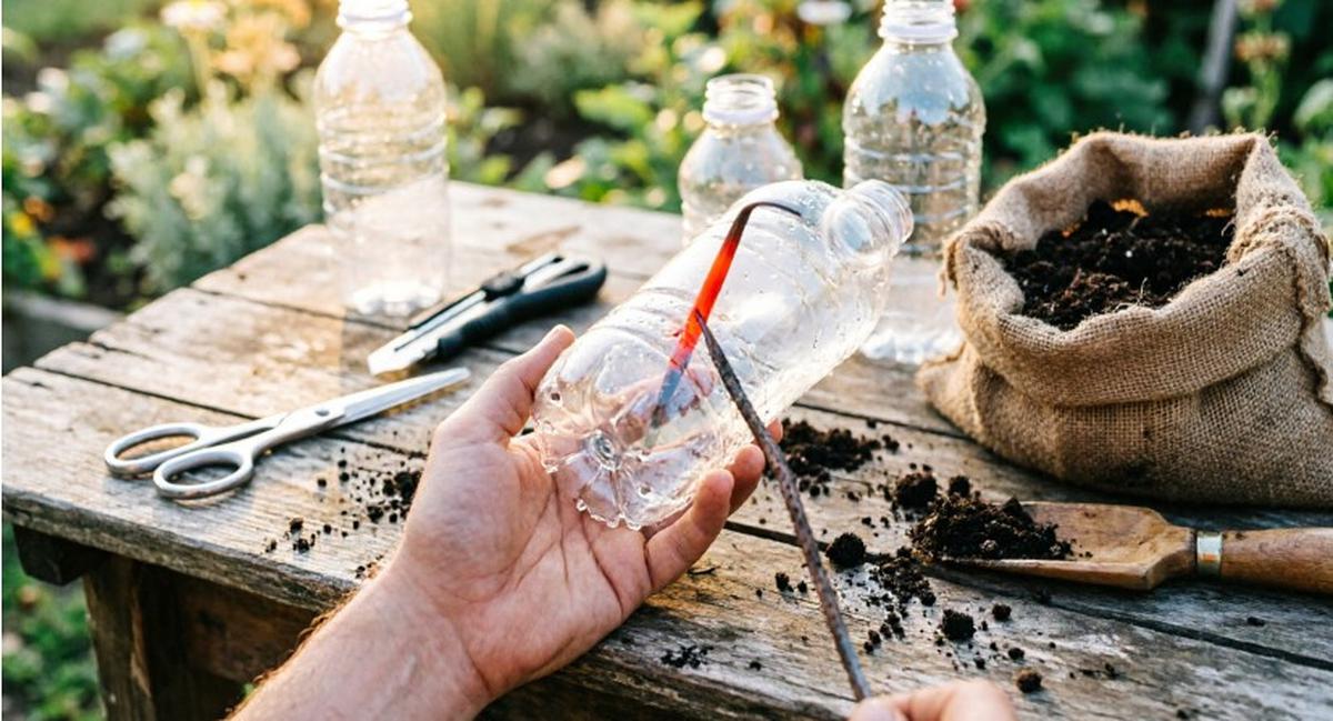 Cara Membuat Rumah Bibit Mini dari Botol Bekas (AI Generated)