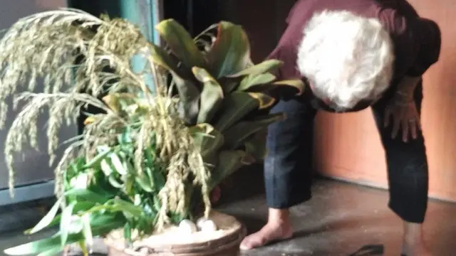 Sijagaron, Tanaman Kematian dalam Upacara Pemakaman Adat Batak