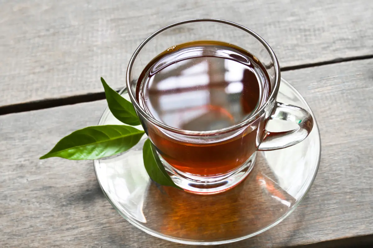 rebusan daun kari