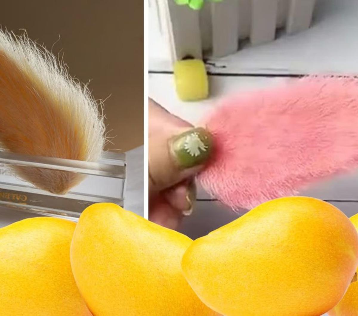 Seorang pemelihara biji mangga lainnya, Xiaomeng, mengatakan kepada Jiupai News, jika ingin memelihara biji mangga maka seseorang harus membeli jenis mangga yang tepat.