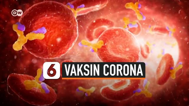 vaksin corona