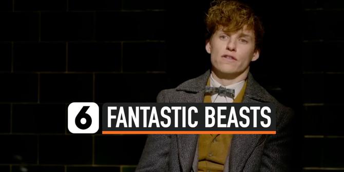 VIDEO: Catat, Film Ketiga Fantastic Beasts Mundur Tayang ke 2022