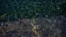 Deforestasi di hutan hujan Amazon Brasil mencapai tingkat tertinggi. Badan penelitian luar angkasa Brasil (Inpe) menemukan, deforestasi meningkat 22 persen dalam setahun. Data terakhir, sekitar 13.235 km persegi hilang selama periode 2020-21, jumlah tertinggi sejak 2006. (AFP/Carl De Souza)