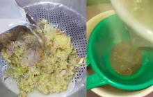 Resep Jamu 3 Bahan Rempah untuk Kolesterol dan Asam Urat, Solusi Pengobatan Alami