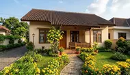 10 Tanaman dengan Bunga Warna Kuning yang Bikin Halaman Lebih Cerah, Inspirasi untuk Menghidupkan Taman