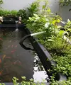 Kolam Mini dari Bak Plastik Bekas. (AI Generated)