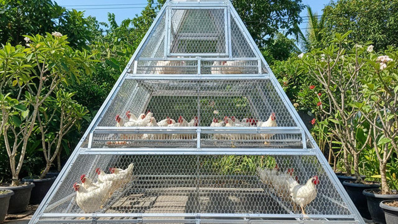 9 Desain Kandang Ayam Baja Ringan: Solusi Modern untuk Peternakan Rumahan