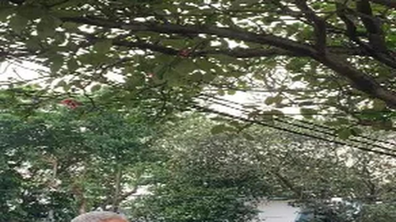 Ganjar Janjikan Kemudahan dalam Pembukaan Lapangan Kerja Bagi Industri Kreatif