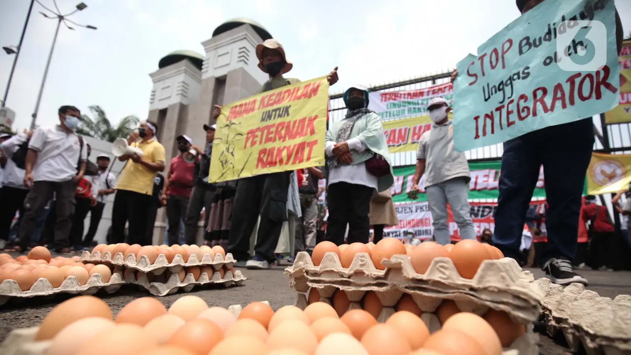 Tuntut Kenaikan Harga Telur, Peternak Ayam Demo di Gedung DPR