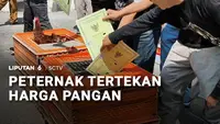 Peternak Tertekan Harga Pakan