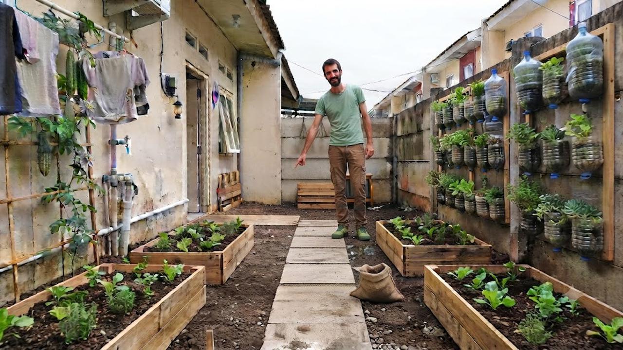Menata Halaman Belakang Rumah Subsidi Jadi Kebun Sayur