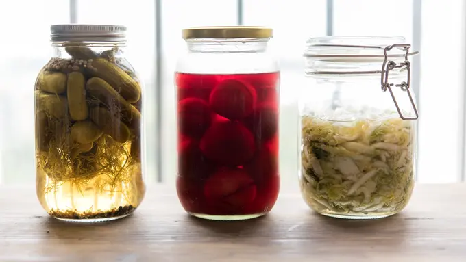 Contoh ilustrasi makanan fermentasi