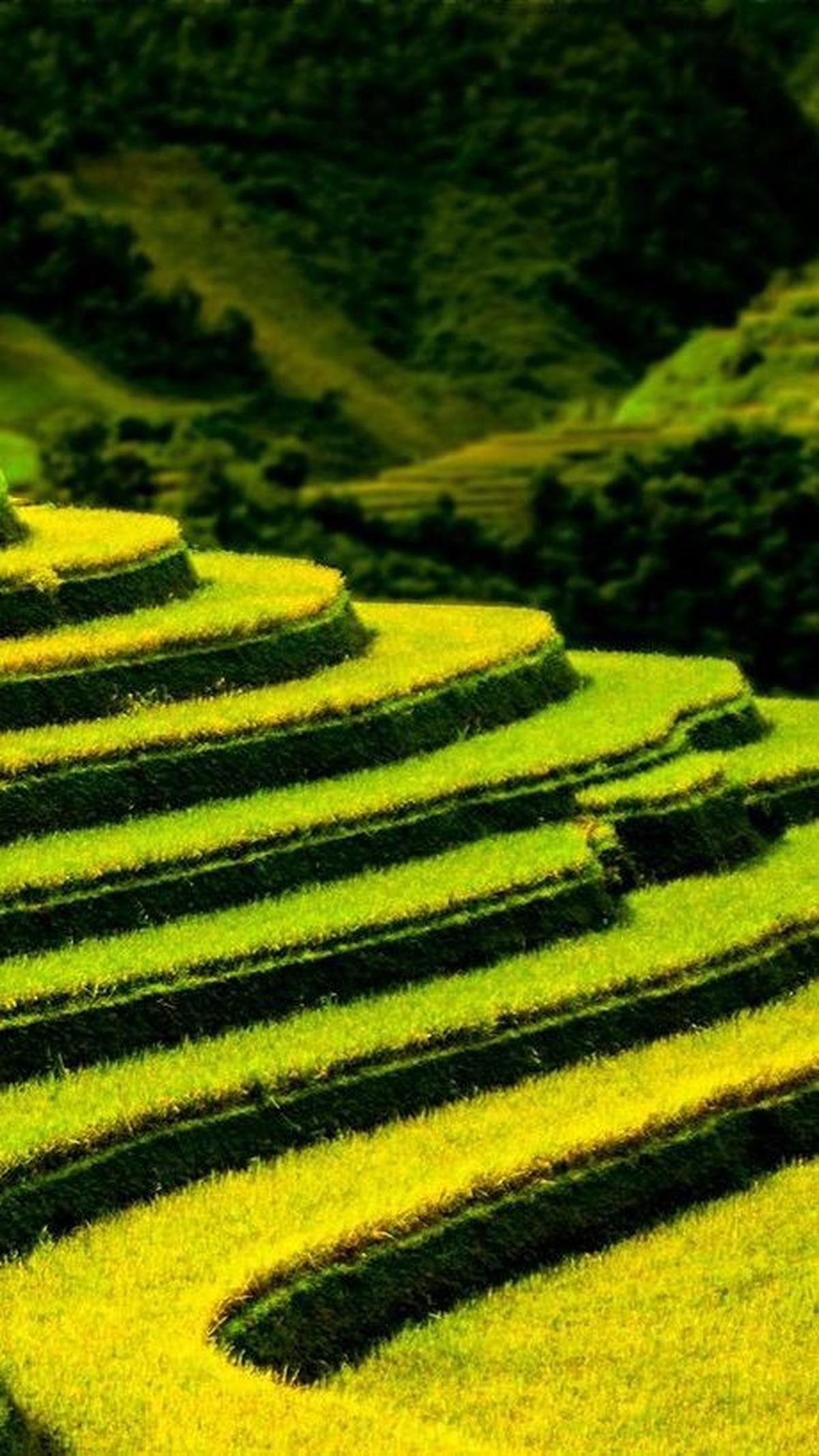 5.	Punya Destinasi Wisata Terbaik