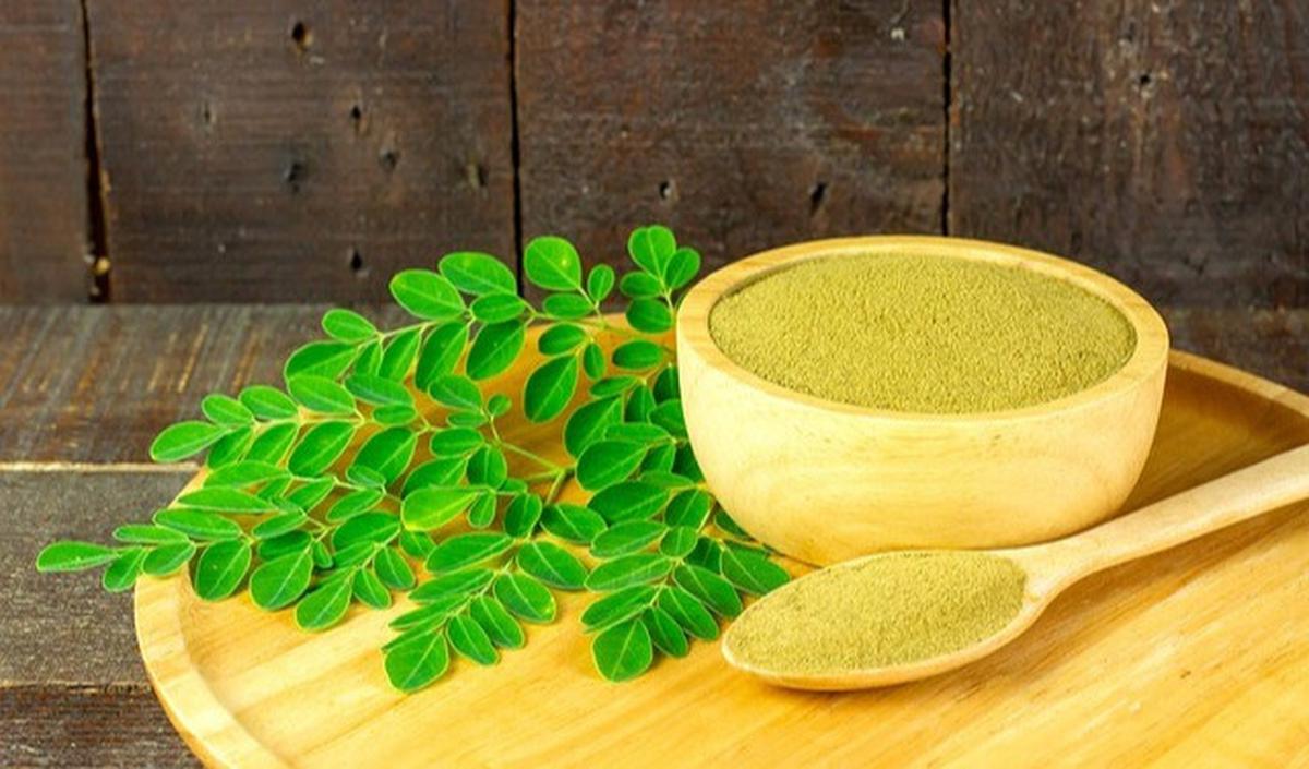 Salah satu keistimewaannya adalah kemampuan daun kelor dalam meningkatkan vitalitas pria ketika berada di ranjang.