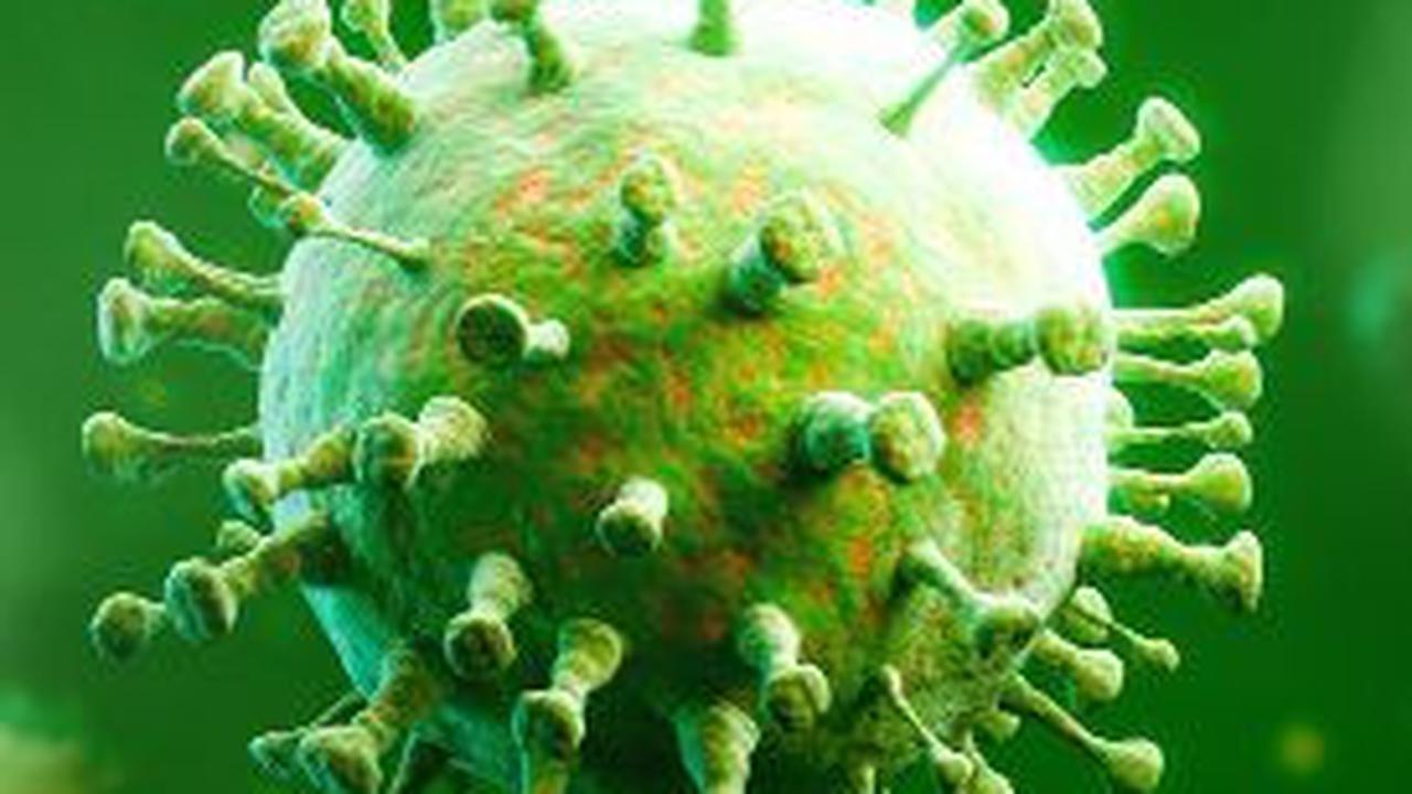 Macam-macam Virus dan Penyakitnya bagi Tubuh Manusia, dari Ringan sampai Mematikan
