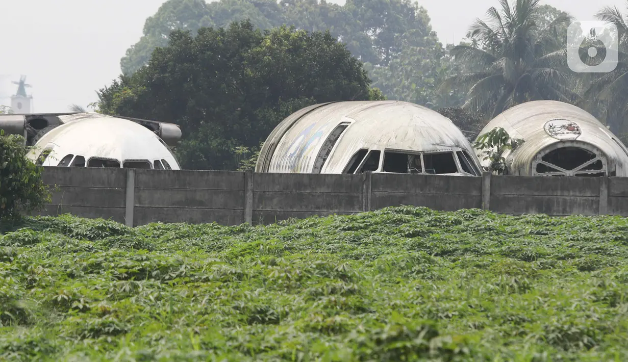 Foto udara bangkai pesawat di sebuah lahan kawasan Jampang, Kabupaten Bogor, Jawa Barat, Kamis (25/8/2022). Keberadaan belasan bangkai pesawat dari berbagai jenis maskapai terongok di area lahan kosong tersebut sudah ada sejak 2019 silam. (Liputan6.com/Herman Zakharia)