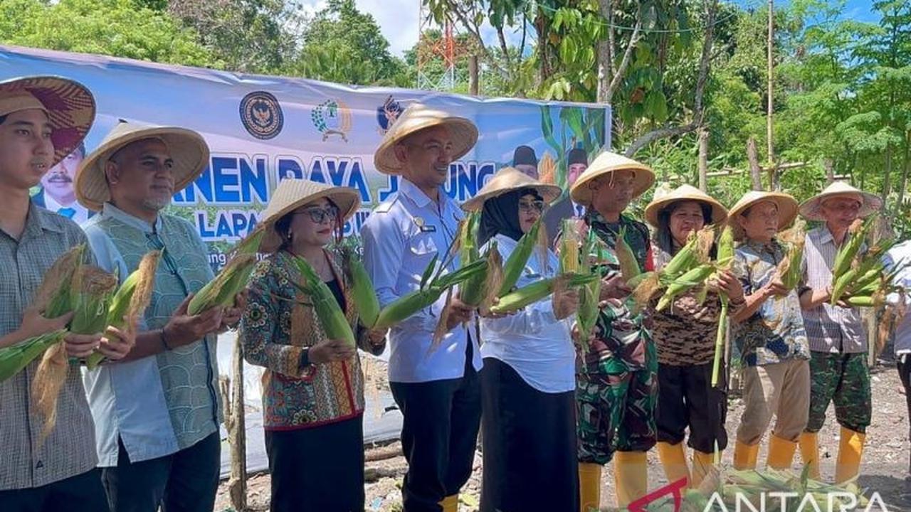 Panen Jagung Lapas Wahai: Warga Binaan Hasilkan 1,2 Ton Jagung, Bukti Nyata Ketahanan Pangan dan Pembinaan Berhasil