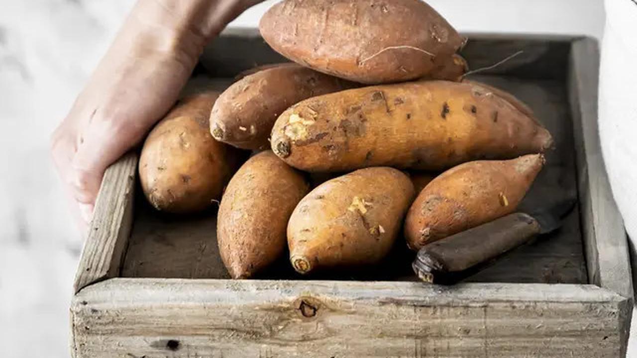 Pilihan Makanan Karbohidrat Rendah Gula yang Cocok untuk Diet dan Kesehatan