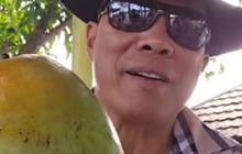 Pensiunan Jenderal Bertani Perlihatkan Mangga Sebesar Tiga Kepal Tangan, Manis Berasal dari India