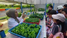 Siswa dari salah satu sekolah dasar menyimak penjelasan terkait pola dan sistem pertanian hidroponik di Ladang Farm, Lebak Bulus, Jakarta, Kamis (30/4/2026). Ladang Farm, kebun pertanian perkotaan vertikal setinggi 18 meter yang berlokasi di Lebak Bulus, Jakarta (Ladang Farm), kini menjadi pusat agro eduwisata. (merdeka.com/Arie Basuki)