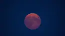 Fenomena Supermoon tampak di langit Glastonbury, Inggris, Selasa (9/9/14). (REUTERS/Kieran Doherty)