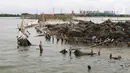 Kepala Unit Pelaksana Teknis Daerah (UPTD) Pelabuhan Perikanan Muara Ciasem pada DKP Jawa Barat Ahman Kurniawan mengatakan pagar laut itu berfungsi untuk penataan alur Pelabuhan Pendaratan Ikan (PPI) Paljaya yang sedang dibangun. (Liputan6.com/Herman Zakharia)