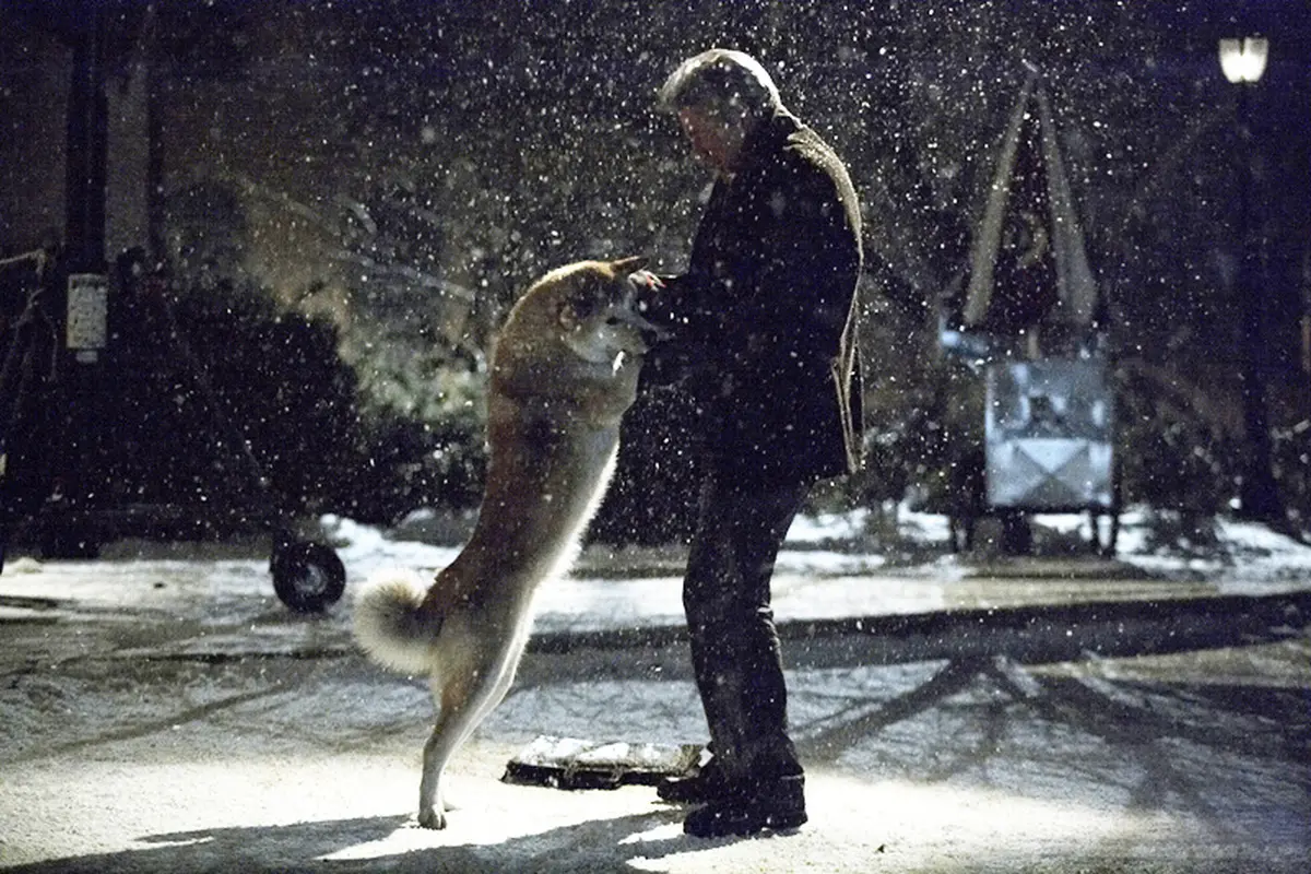 [Bintang] Hachiko
