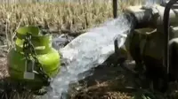 Kekeringan, Petani di Banten Mengairi Sawah dengan Air Comberan