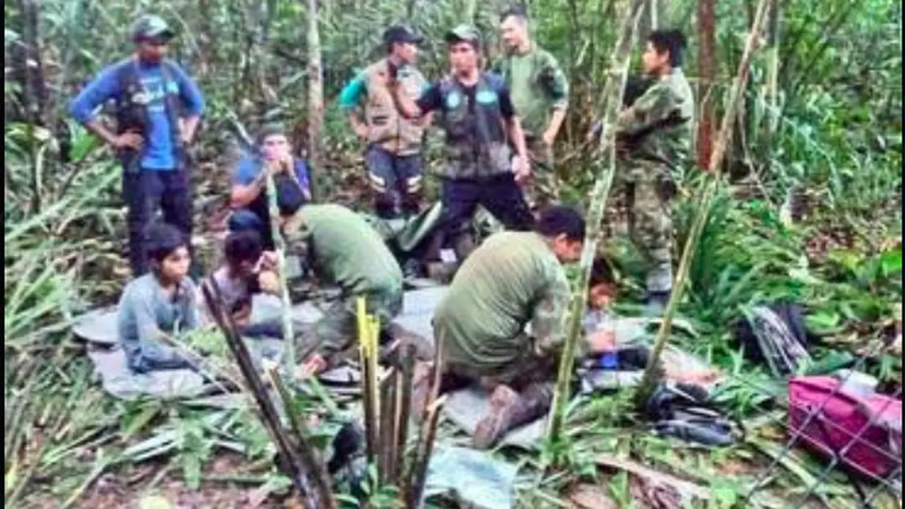 4 anak korban kecelakaan pesawat selamat usai terdampar 40 hari di hutan Amazon