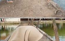 Viral Momen Kocak Wanita saat Mancing, Udah Dapat Ikan Malah Kabur