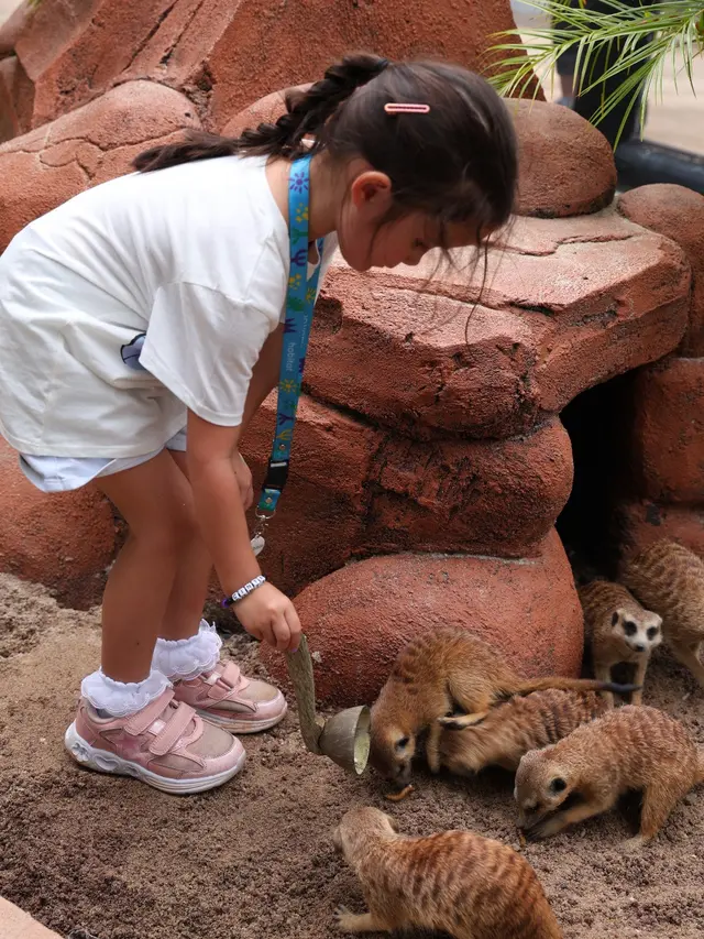 Menginap Sekaligus Bertualang dengan Satwa Liar, The Ritz-Carlton Jakarta Tawarkan Pengalaman Liburan Tak Biasa