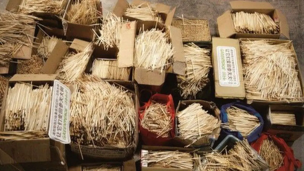 Di Tiongkok, 20 Juta Pohon Ditebang Tiap Tahun Dijadikan Sumpit