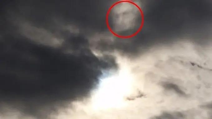 Photo: Copyright mirror.co.uk