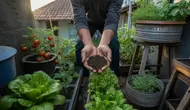 Cara Bertani di Lahan Sempit: Panduan Lengkap agar Panen Melimpah di Rumah