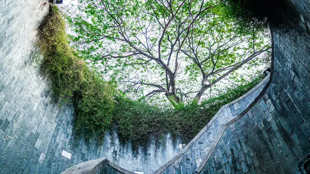 Fort Canning