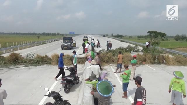Petani memblokir jalan tol Solo Kertosono karena akses jalan yang terputus.