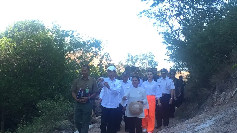 Presiden Jokowi bersama Ibu Negara Iriana Jokowi menyabangi pulau habitat komodo di Labuan Bajo, Nusa Tenggara Timur (NTT). (Liputan6.com/Lizsa Egeham)