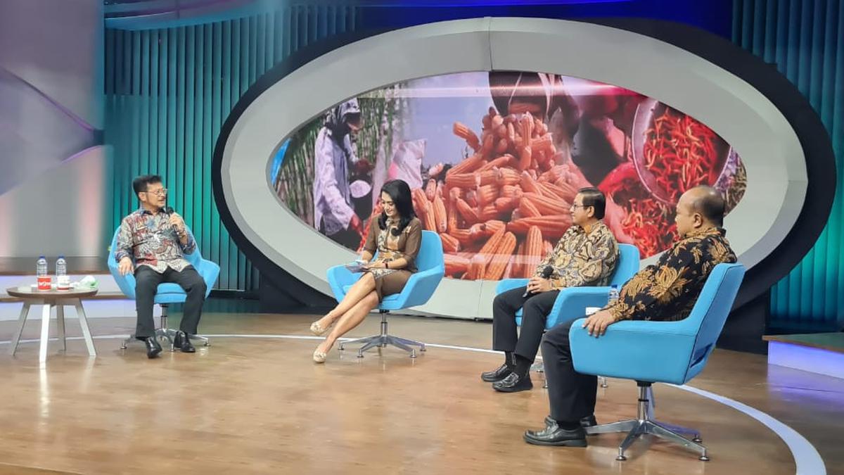 Dorong Anggaran Pupuk Organik Diperbesar, INDEF: Supaya Petani Kecil Jadi Efisien! - Vimarsana News