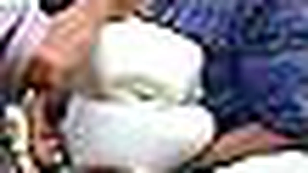 t030503cGula.jpg