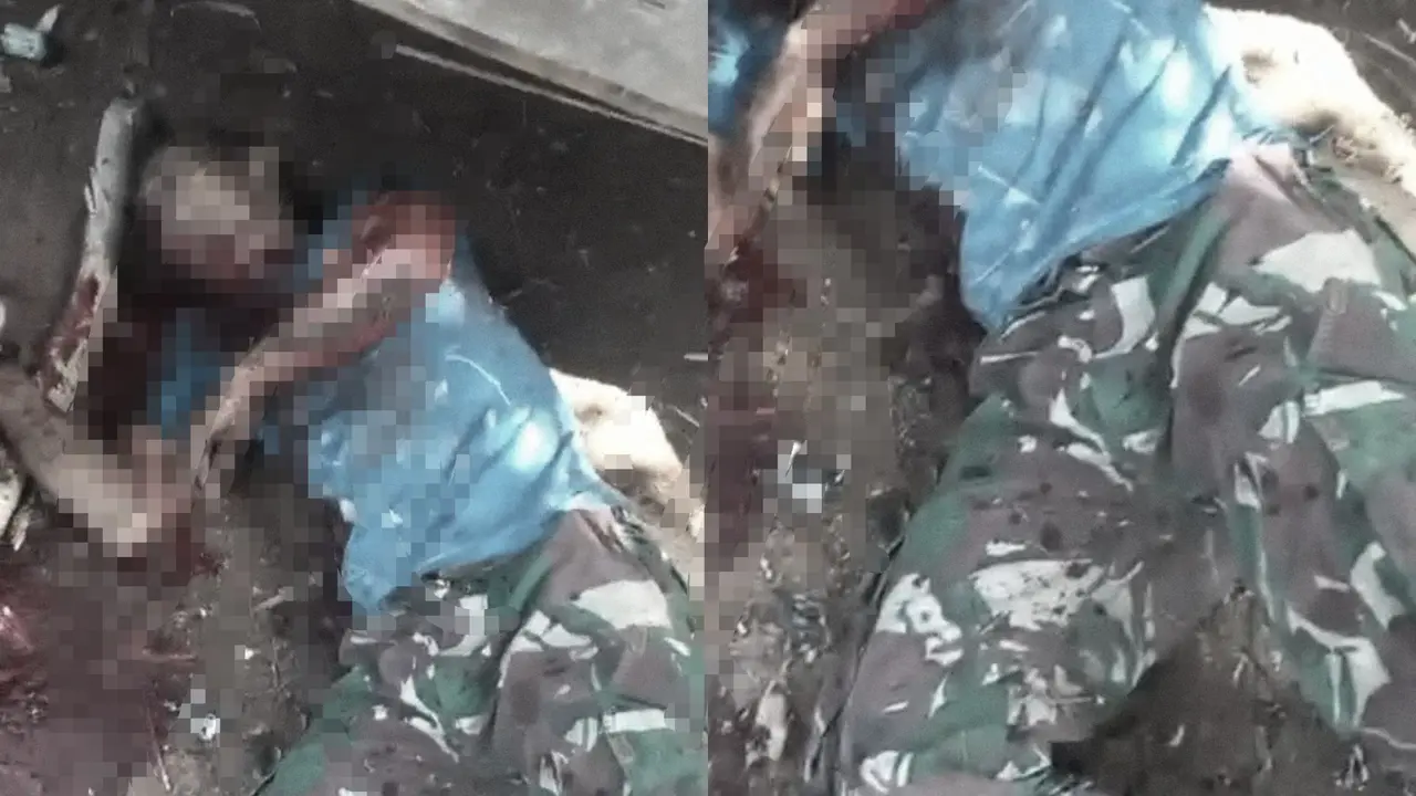 Tangkapan layar klaim video warga di Lampung Barat tewas diterkam harimau.