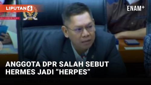 VIDEO: Ngakak! Anggota DPR Sebut Tas Hermes Jadi Herpes