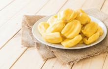 20 Peluang Bisnis Menjanjikan dari Nangka yang Kekinian dan Menguntungkan