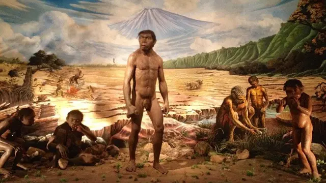 [Bintang] Orang Indonesia