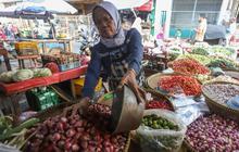FOTO: Sempat Meroket Tajam, Harga Bawang Merah Turun dari Rp 70 Ribu Jadi Rp 40 Ribu per Kilogram