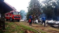 Kandang ternak ayam di Kabupaten Deli Serdang terbakar
