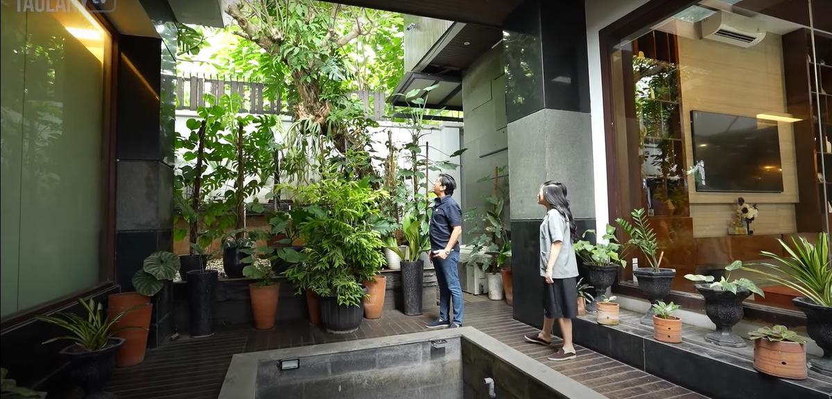 Paludarium hingga Dapur Elegan, Ini Potret Rumah Rachel Vennya yang Estetik dan Mewah