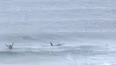 Pada potongan video menunjukkan paus pembunuh (orca) melewati peselancar Afsel, Shanon Ainsle di tengah kejuaraan selancar di Unstad, Norwegia, Sabtu (23/9). Untungnya, kedua paus itu tetap tenang dan tidak agresif. (HO/LOFOTEN MASTERS 2017/AFP)